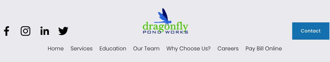 Dragonfly Pond Works